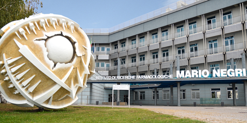 Istituto di Ricerche Mario Negri