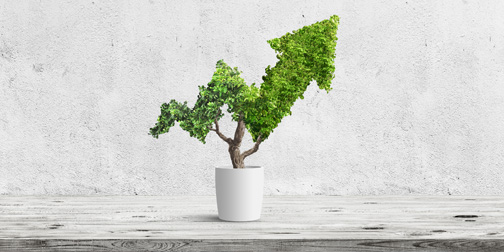 Sustainability - Plant with arrow - Image 504 x 252 Sustainability - Plant with arrow - Image 504 x 252
