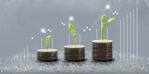 Sustainability - Money soil - Image 504 x 252 Sustainability - Money soil - Image 504 x 252