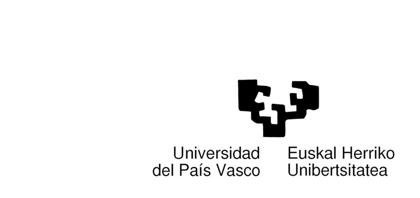 University of the Basque Country